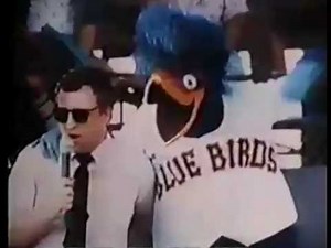 "Bay City Blues" TV Intro