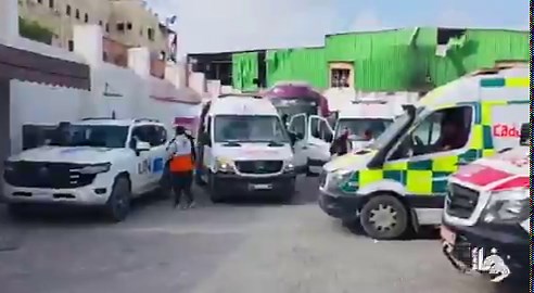 🇵🇸 Hamas members are trading rice and sugar for sex with the widows of their own fallen fighters. War widows. Single mothers. Women with no food and nowhere to go. When a Hamas employee reported finding a slain member's wife being exploited by multiple Qassam fighters in a tent, leadership told him to shut up and walk away. As one resident put it: "It's being done by all their employees and members, as though it's an organization set up for sexual harassment, psychological abuse and harassing 