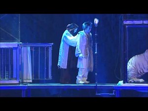 Siegfried & Roy's Final performance EDITOR