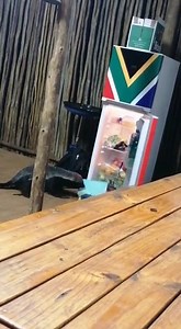 1.1K views · 39 reactions | Nothing wrong with a little midweek...