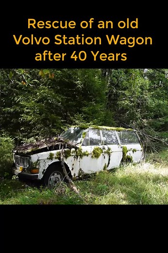 #car #restoration #asrm #clean #creative #idea