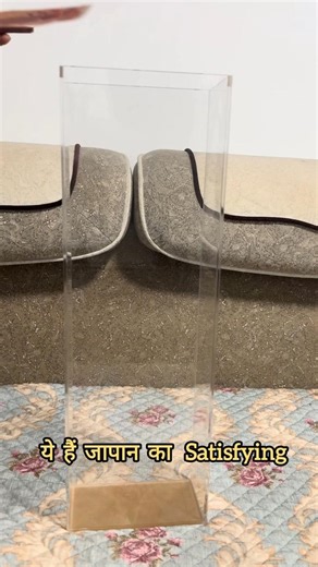 Japan Piggy Bank Challenge| #facts #shortvideo #shorts #shortsfeed