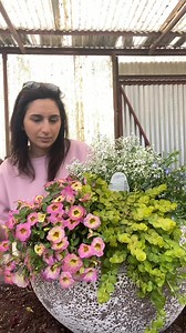 1.3M views · 5.7K reactions | Happy Saturday! I have always loved the...