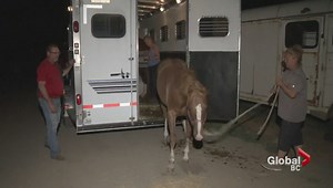 Loon Lake Evacuated as Ashcroft fire grows