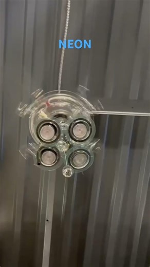 neon ceiling fan at ￼￼ ￼ fanimation