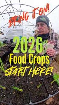 2026 Food Crops Start Here. Bring it on! #selfsufficiency #allotmentgarden #kitchengarden #york