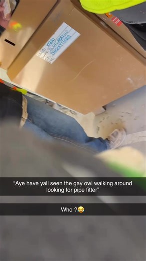 Funny Encounters with a Gay Owl