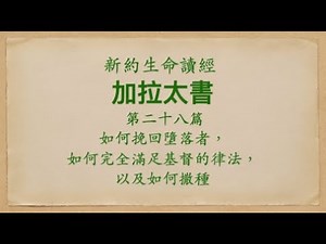 251111 加29-2 第二十九篇 如何挽回墮落者，如何完全滿足基督的律法，以及如何撒種