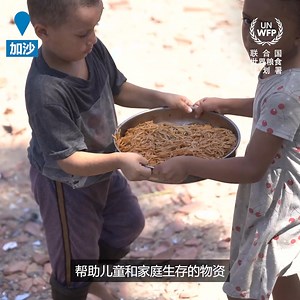 254K views · 1.9K reactions |  加沙停火：这些家庭仍然需要粮食援助  在加沙的家庭正面临寒冷、饥饿和疲惫。战争导致超过 200 万人无家可归，没有收入，只能依赖人道主义援助获取食物。您的捐款将帮助我们提供挽救生命的粮食援助。 | World Food Programme | Facebook