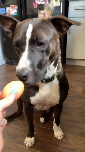 Not all our videos go according to plan lol