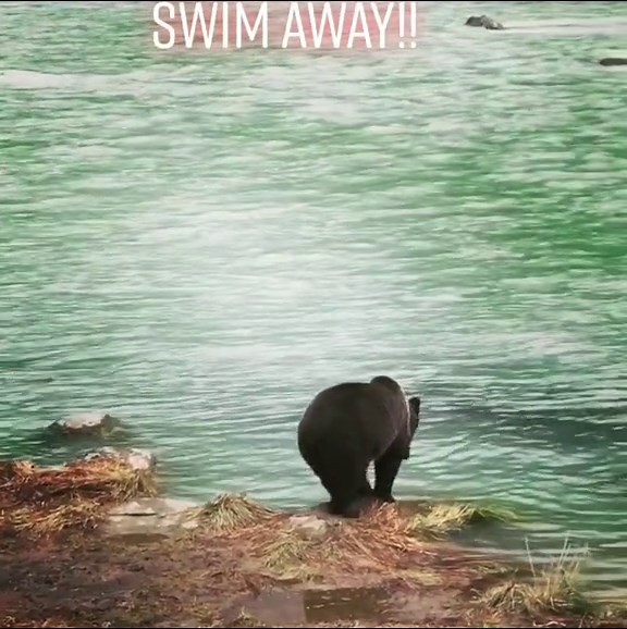 Observing Dr. Oakley's Daughters: Veterinarians in Action