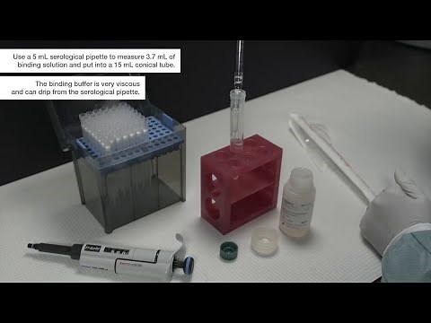 MagMAX Viral/Pathogen Nucleic Acid Kit Using KingFisher Duo Prime for Sample Preparation