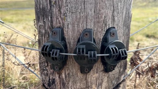 insulators for electrical fencing fixed on a pole.