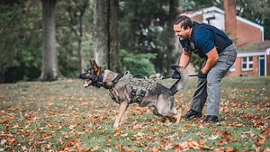 Donate to OFC Ryan Allen's Return Home after Brain Injury, organized by Whitney Allen