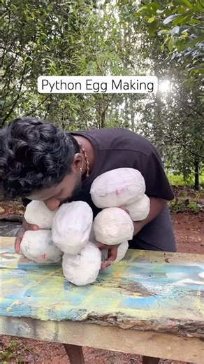 Diy Ball Python Egg Making 🌸 #youtubeshorts #ballpython #cobra #diy #python #robby #egg #reptiles