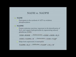 G6PD Deficiency and the Pentose Phosphate Pathway - CRASH! Medical Review Series