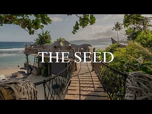 Inside a Private Beach Villa With a Treehouse & Recording Studio | The Seed