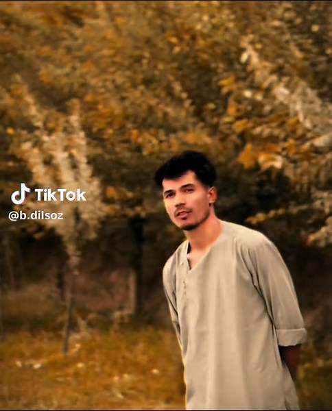 Exploring Scooby Doo: The Iconic Mystery Solvers