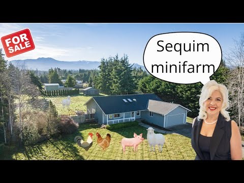 MINI FARM Barn | Olympic Mountain View! Port Angeles /Sequim WA Home1 Acre #portangelesrealestate