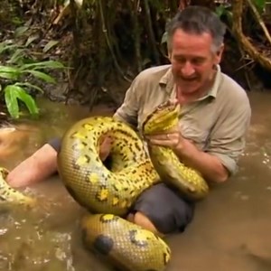 The Official Nigel vs Giant Pythons Amazon | Lord Amazon