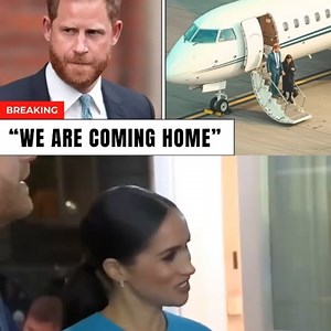 Harry & Meghan Flee to the UK After Assets Frozen and Millions in Charity Funds Exposed Missing #princeharry #Meghanmarkle #RoyalFamily #fbstyle | Beatrice Brock