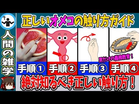 【性教育】絶対に知るべき正しいオメコの触り方！男の義務教育【ゆっくり解説】