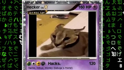 黑客入门手册by Beluga_哔哩哔哩_bilibili