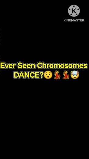 Mitosis Process in Cell Reproduction|3D Science Animation#mitosis#reproduction#biology#celldivision