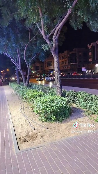 ⓪⑤④③⑧⑨⑧⓪⑨⑤ على TikTok