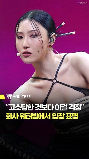 화사, 워터밤에서의 걱정과 퍼포먼스 논란