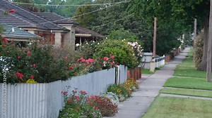 Suburban residential houses in Australia with corrugated metal fencing and lush flowers in front yard. Neighborhood, garden maintenance, quiet living, peaceful environment with birds chirping sound