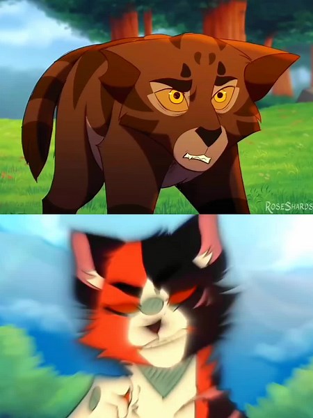 #warriorcats #warriors #capcut #warriorscatsedit #tigerstar #mapleshade #edit