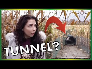 We Found Something CREEPY In This Corn Maze