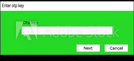 minimal otp key entry screen animation for application setup ui design.
