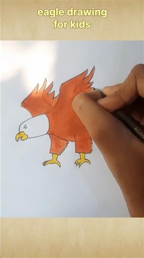 flying eagle drawing #eagle #drawing #ytshorts