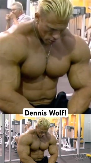 Dennis Wolf building a massive back & triceps during Battle For The Olympia 2006.