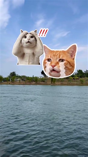 F1 Model RC Boat Fuel Engine #diyrcboat #rcboatbatam