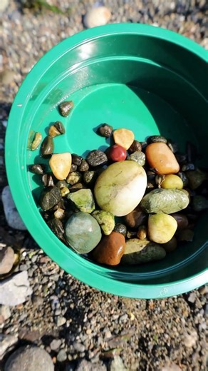 Relax & come beachcombing with us 😌 #beachcombing #rockhunting #rockhounding #asmr #getoutside #pnw