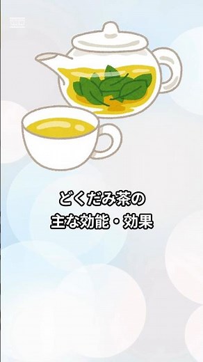 【雑学】どくだみ茶の効能と効果 #雑学 #どくだみ茶 #効能 #効果 #健康