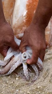 Squid beak removal #SquidBeak | Madam F-Island life