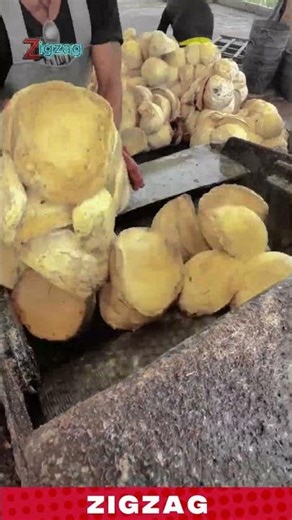 Peeling Coconuts in Seconds! This Machine Makes Hard Work Look Easy