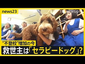 新入生は「セラピードッグ」…苦手を乗り越える子犬と子どもたちの1か月 言葉をこえた交流に密着【news23】｜TBS NEWS DIG
