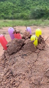 Simple and useful survival skills in the wild | Top Creative