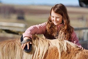20 Horse Breeds Best Suited For Equine Therapy