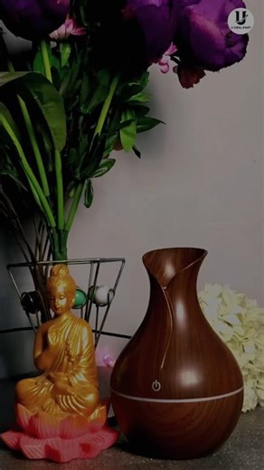 🤯Yeto alag hi magic tha..! Iska effect dekhkar sab chok gaye! 🌬️#shorts #humidifier #VIP #foryou #yt