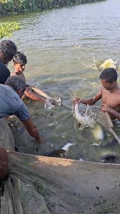 Big big fish 🐟😍 #fishing #fish | Unity Farm