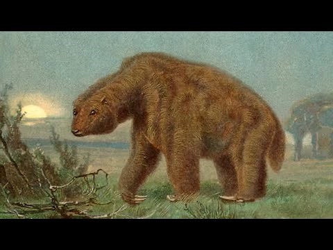 Extinct Animals That Might Still Be Alive!