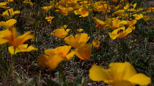 When is the first day of Spring 2026? When do we spring forward?