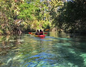 Weeki Wachee Springs State Park: Kayaking, manatees, mermaids