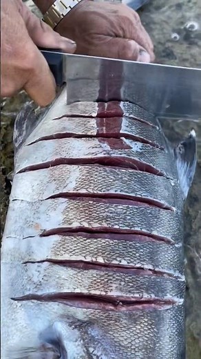 BUTCHERING a GIANT 9KG TUNA! (Full Breakdown) | Epic Fish Processing Challenge 🐟